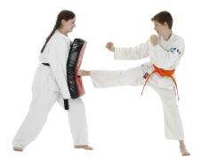 5f3b00_6a22acc3ffde1333cf22a3be403c1cef.jpg_512