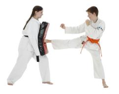 5f3b00_6a22acc3ffde1333cf22a3be403c1cef.jpg_512