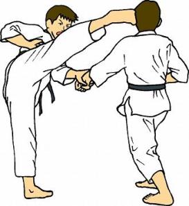 47905-karate-kick-to-the-face