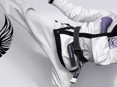 Soar Training: Kicking/Jok&nbsp;Ki